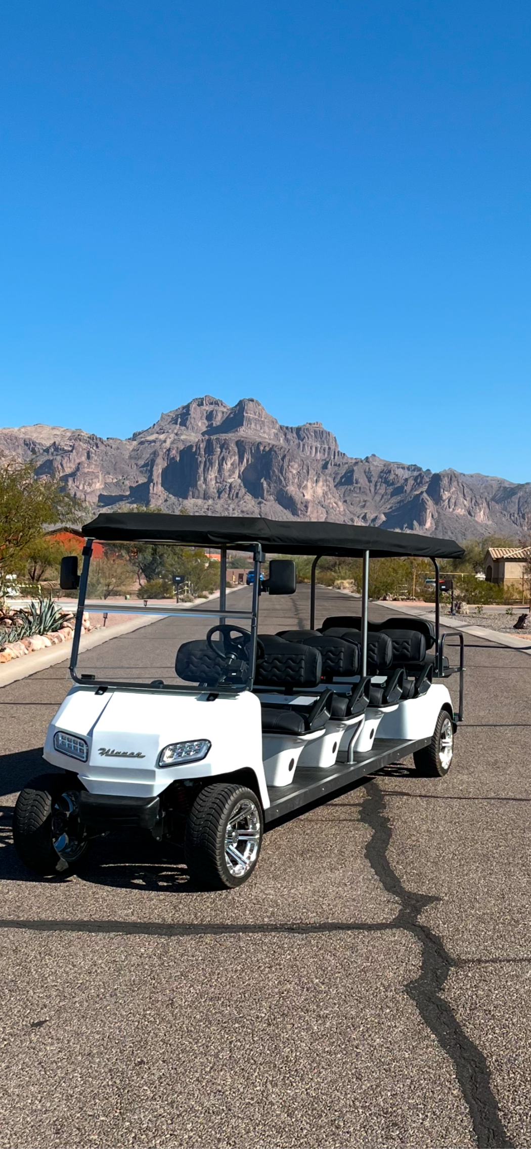 10 Seater Golf Cart