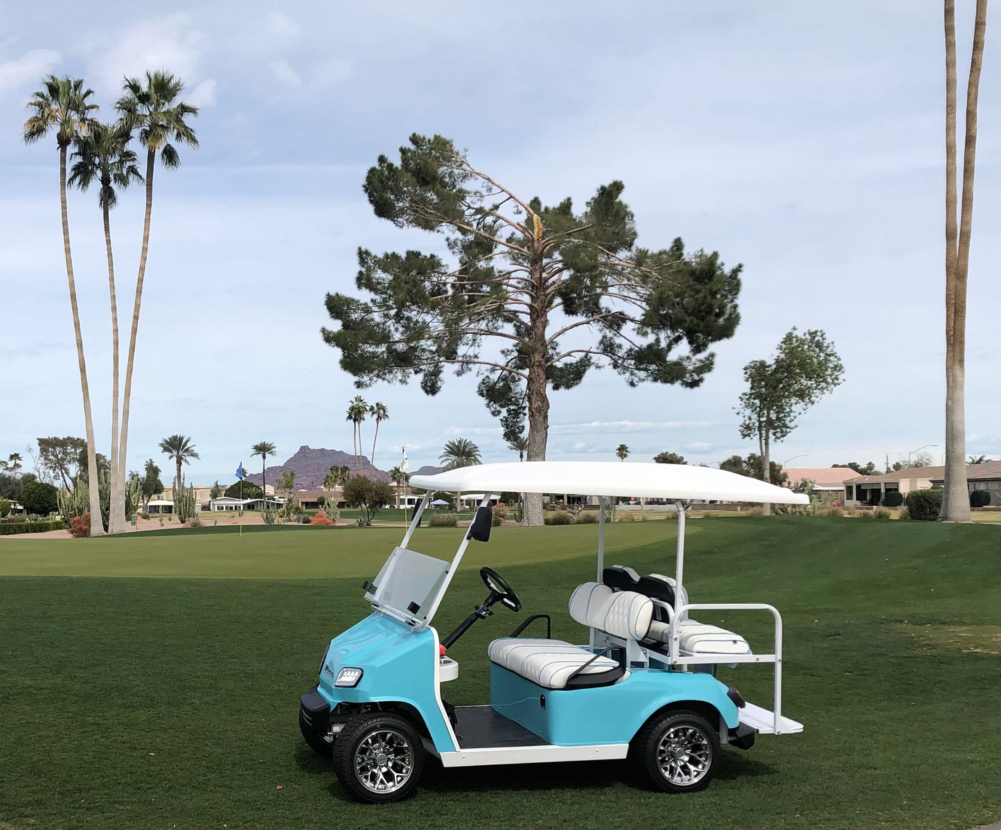 4 Seater Golf Cart