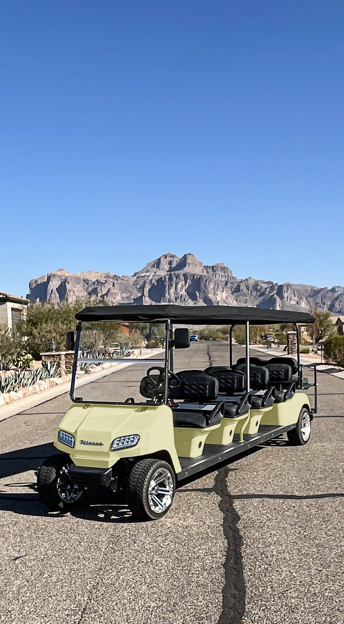 10 Seater Golf Cart