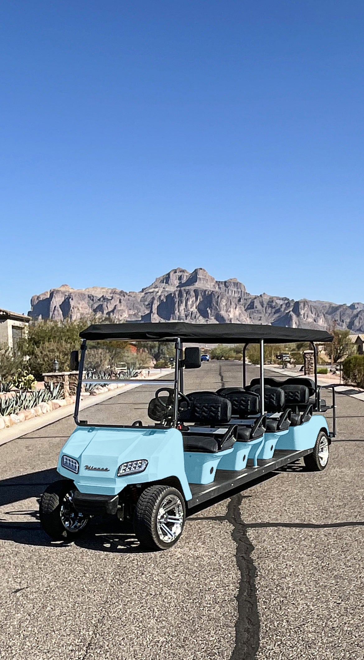 10 Seater Golf Cart
